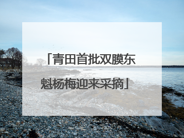 青田首批双膜东魁杨梅迎来采摘